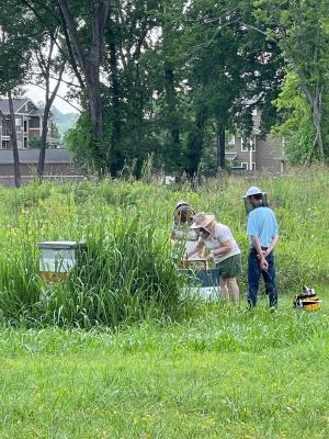 Checking-Beehives-at-Rockwater-Village